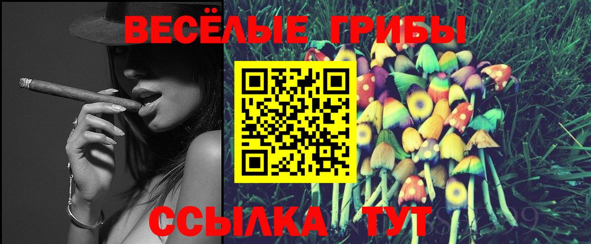 Галлюциногенные грибы Cubensis Кириши